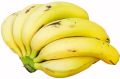 fresh banana