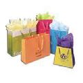 Paper Gift Bags Pgb - 001