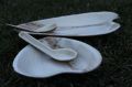 Eco Friendly Wedding Disposable Plates & Dinnerware