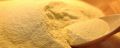 Defatted Soya Flour (Untoasted)