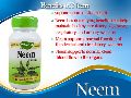 Herbal Supplement, Neem Capsule