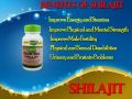 Uses of Shilajit Capsule