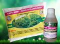 Safs Rom Zinc Solubilizer , Bio Fertilizer