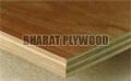 Alternate Plywood (12mm)