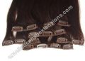 Remy Clip On Hair Extension