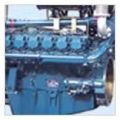 Diesel Engine Generator