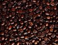 Tiffosi Italiya Roasted Coffee Beans