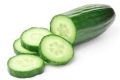 Cucumber Suppliers