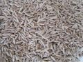 cumin seed