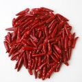 dried red chili