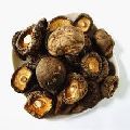 Hot Air Dried Mushroom