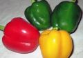 Fresh Capsicum