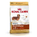 royal canin dog food