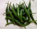 fresh green chilli