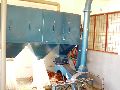 Automatic Chilly Cleaning Plant