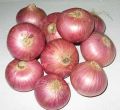 red onion