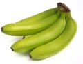 Fresh Cavendish Green Banana