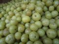 Fresh Amla