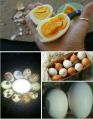 Table Duck Eggs