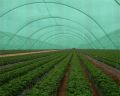 Agro Shade Net