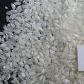 Short Grain White Rice