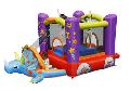 Inflatable Bouncer Castle