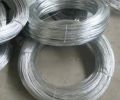 Galvanized Wires