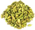 green cardamom