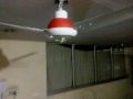 Solar PMDC Ceiling Fan