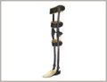 Knee Ankle Foot Orthosis (KAFO)