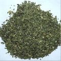 CORIANDER LEAVES AND POWDER